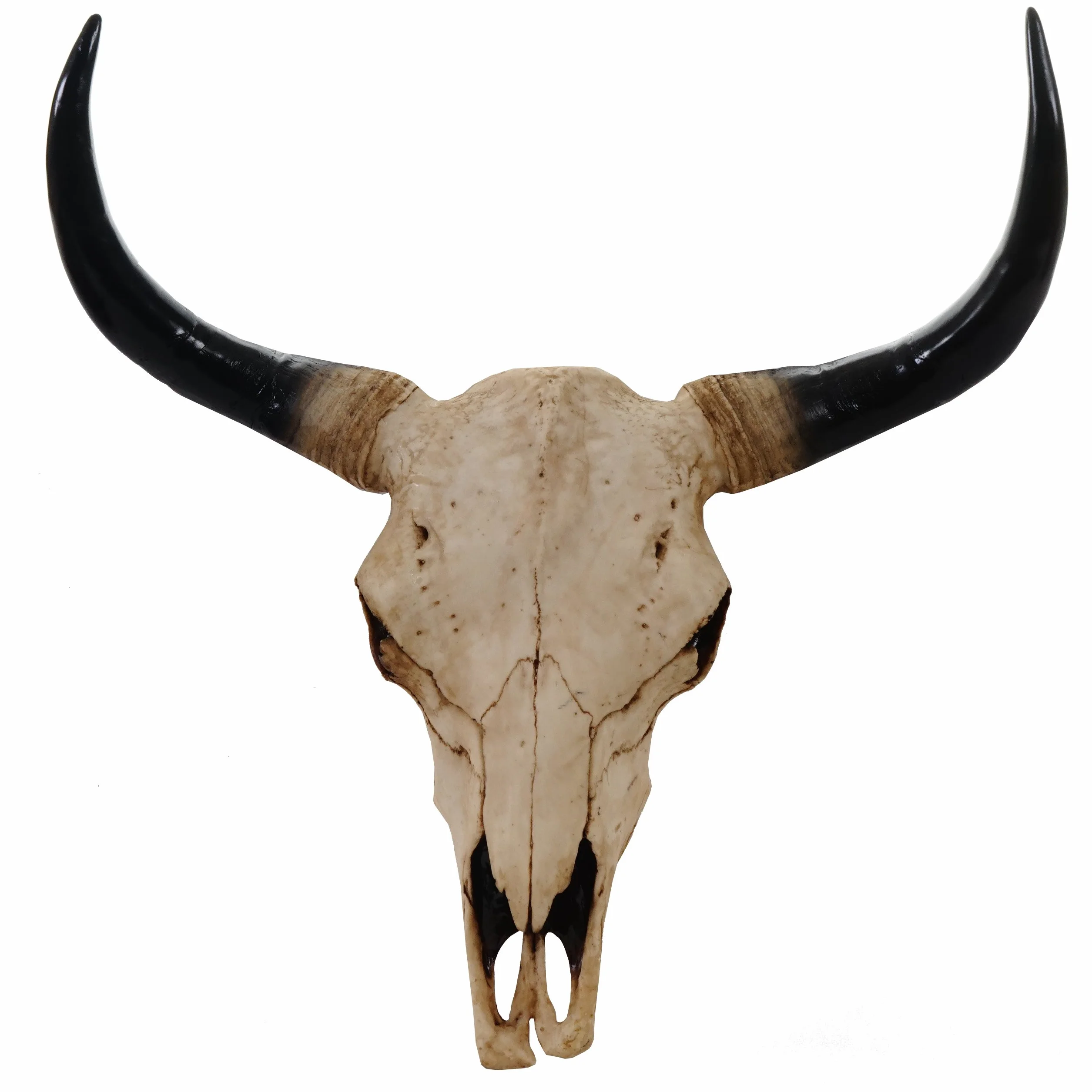 Mendler Deko Schädel 45cm Polyresin Stier Bulle Longhorn Kopf Trophäe In-/Outdoor naturfarben