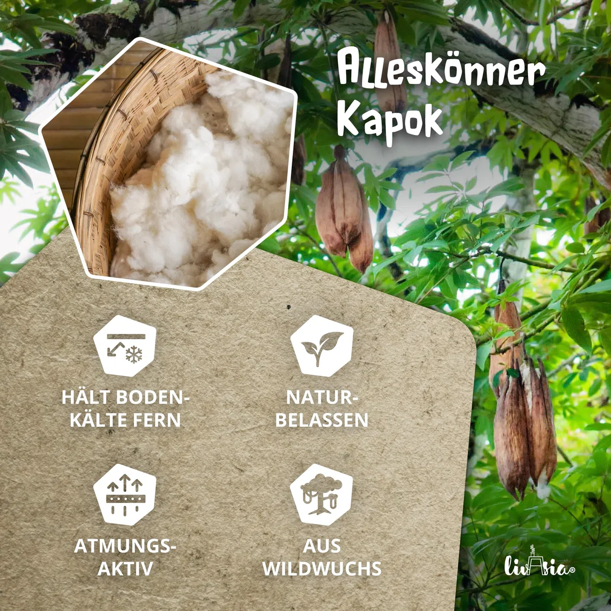 livasia Thaikissen 3 Auflagen Thaiseide - 175x55x8cm - Dreieckskissen mit Klappmatratze, Rückenkissen faltbar, Thaimatte zum Klappen, Kapok handgefertigt, Meditationskissen (Grau/Elefanten Seide)