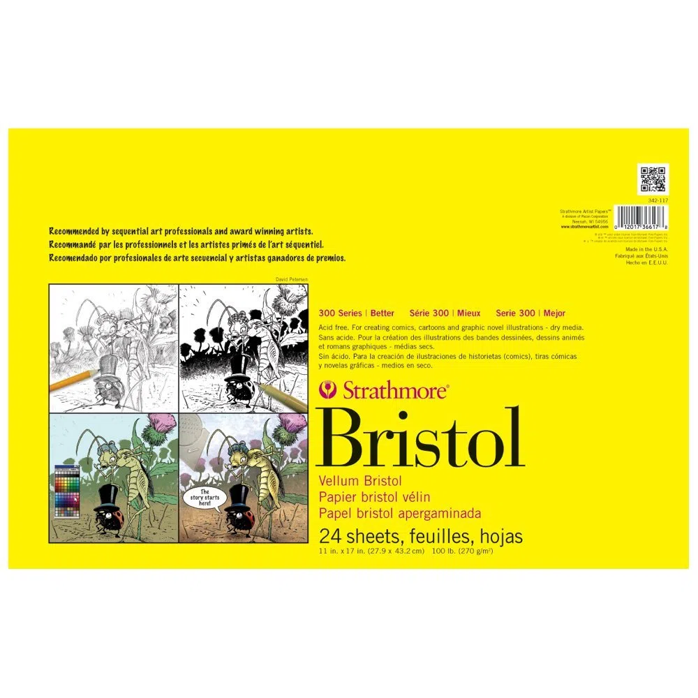 Strathmore Bristol-Papierblock, Pergamentpapier, gebunden, 27,9 x 43,2 cm, 24 Blatt (270 g), Künstlerpapier für Erwachsene und Studenten, Anthrazit, Stift und Tinte, Marker und Pastell