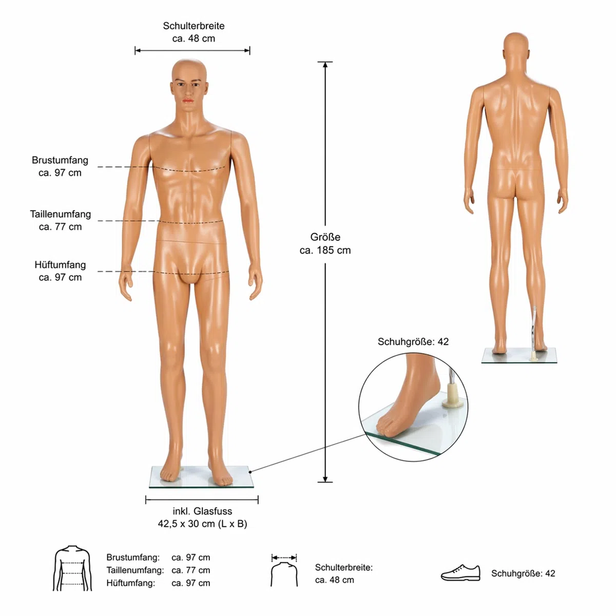 Mucola Schaufensterpuppe Mann 185 cm – Männliche Schneiderpuppe mit beweglichen Gelenken – Realistische Schaufensterfigur Herren-Mannequin mit Glas-Standplatte – Abnehmbarer Kopf & Arme