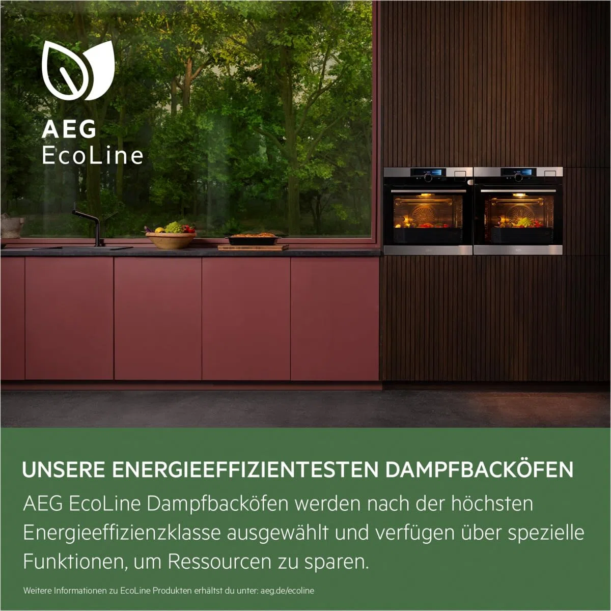 AEG BSE79228BM Dampfbackofen / Serie 9000 mit SteamPro / Dampfreinigung / Kerntemperatursensor / Touch-Bedienung / Grill / Display mit Uhr / Kindersicherung / A++ / Edelstahl mit Antifingerprint