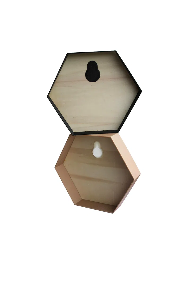 Hexagon Rahmen für Moosbilder - Sechseck - DIY Moosbild - Unterschiedliche Farben - Rahmen zum Befüllen